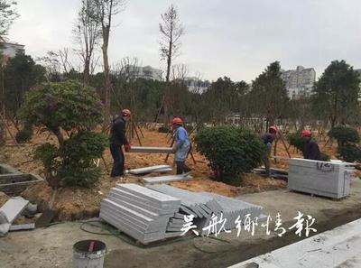 【惠民生 補(bǔ)短板】春節(jié)前,冰心公園將美出新高度!