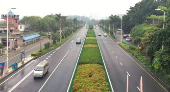 園林綠化工程中存在的部分問題及建議