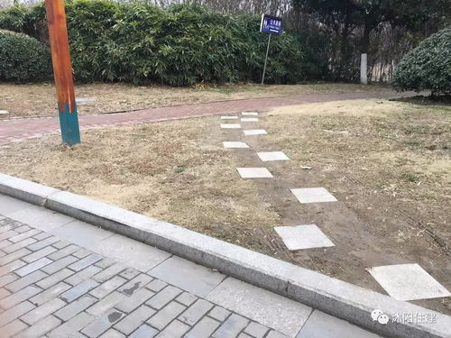 取消園林綠化施工資質,如何加強園林企業資質管理