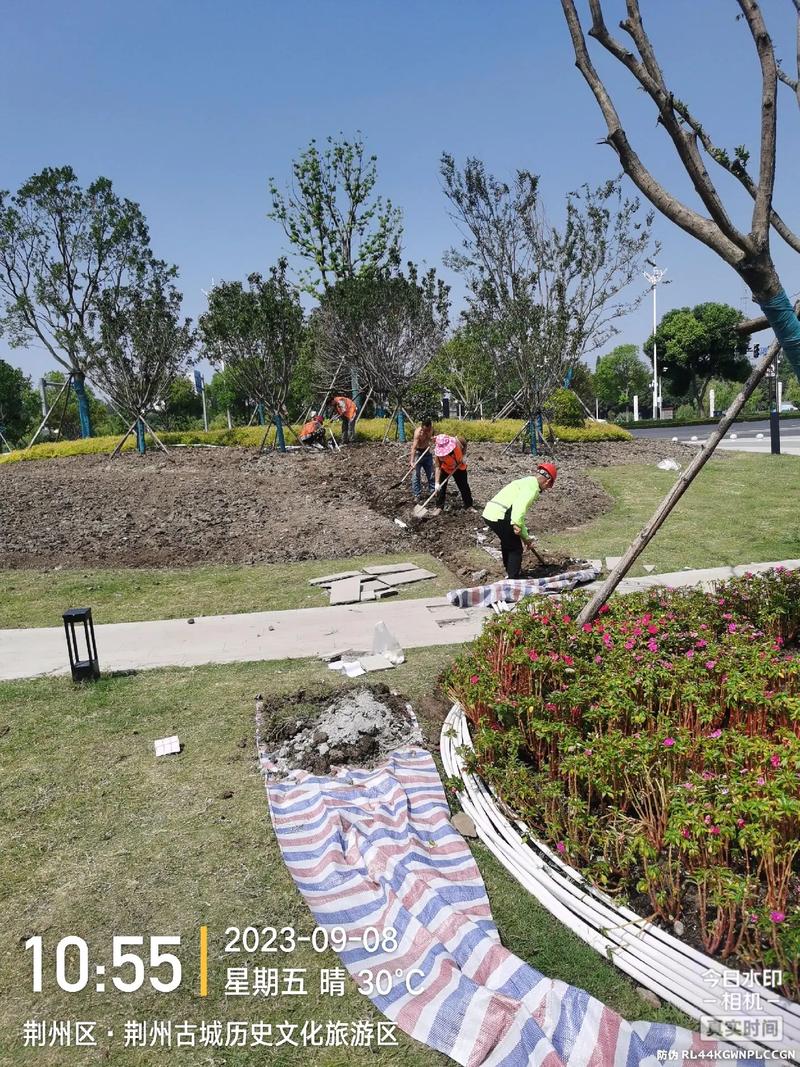 現(xiàn)場實(shí)拍 體育場地設(shè)施工程施工——景區(qū)建設(shè)中的園林綠化工程新篇章