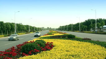 綠動(dòng)磁州，健行未來 八項(xiàng)重點(diǎn)工程繪就園林縣城新畫卷